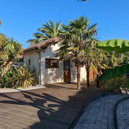 Guest House Au Milieu Des Palmiers Saint-Martin-de-Seignanx Dış mekan fotoğraf